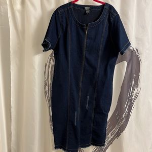 Women’s plus size fitted jean dress